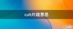 cult片啥意思