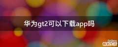 华为gt2可以下载app吗