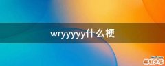 wryyyyy什么梗