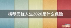 横琴无忧人生2020是什么保险