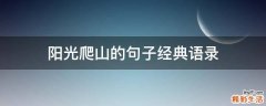 阳光爬山的句子经典语录