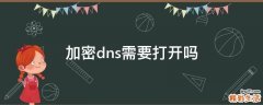 加密dns需要打开吗