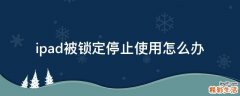 ipad被锁定停止使用怎么办