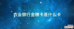 农业银行金穗卡是什么卡