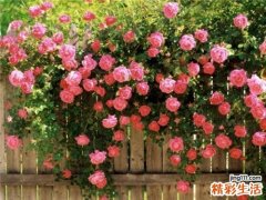 4 白领重压下九健康警报