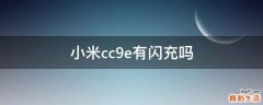 小米cc9e有闪充吗