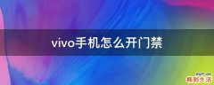 vivo手机怎么开门禁