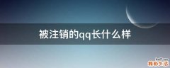 被注销的qq长什么样