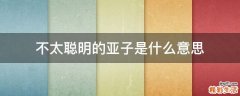 不太聪明的亚子是什么意思