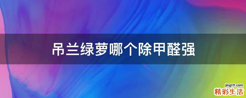 吊兰绿萝哪个除甲醛强