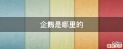 企鹅是哪里的