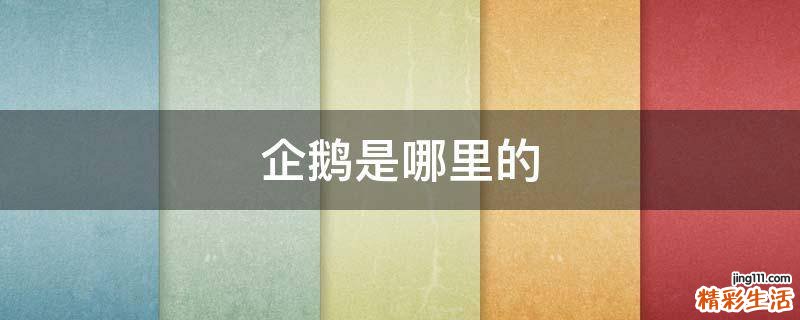 企鹅是哪里的