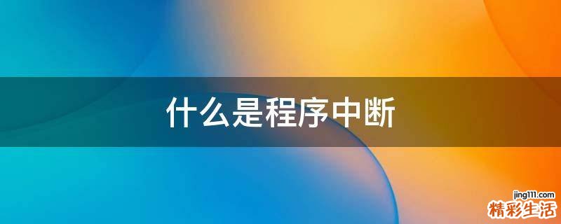 什么是程序中断