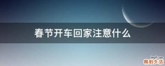 春节开车回家注意什么