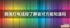 微信打电话按了静音对方能知道吗