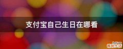 支付宝自己生日在哪看