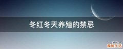 冬红冬天养殖的禁忌
