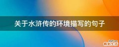 关于水浒传的环境描写的句子