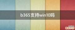 b365支持win10吗