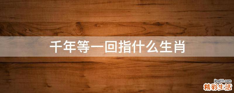 千年等一回指什么生肖