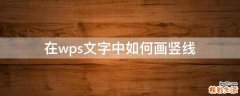 在wps文字中如何画竖线