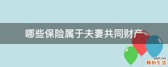 哪些保险属于夫妻共同财产