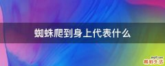 蜘蛛爬到身上代表什么
