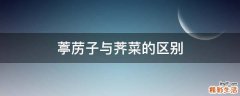 葶苈子与荠菜的区别
