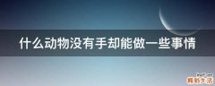 什么动物没有手却能做一些事情