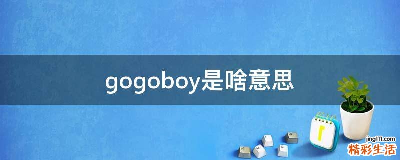 gogoboy是啥意思