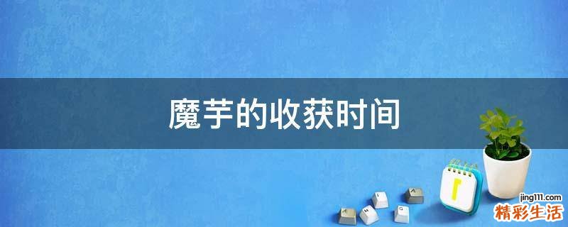 魔芋的收获时间