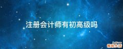 注册会计师有初高级吗