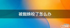 被蜘蛛咬了怎么办