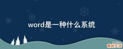 word是一种什么系统