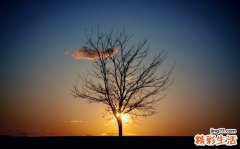 春季去肝火吃什么