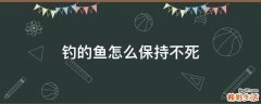 钓的鱼怎么保持不死