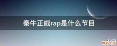 秦牛正威rap是什么节目