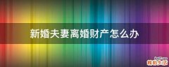 新婚夫妻离婚财产怎么办