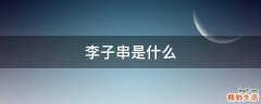 李子串是什么