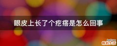 眼皮上长了个疙瘩是怎么回事