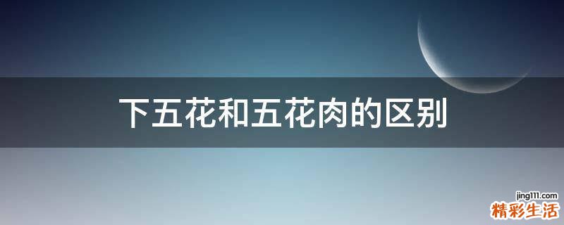 下五花和五花肉的区别
