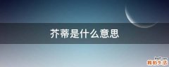 芥蒂是什么意思