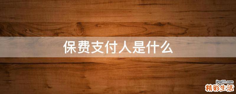 保费支付人是什么
