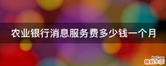 农业银行消息服务费多少钱一个月