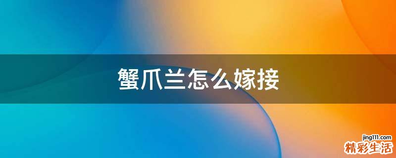 蟹爪兰怎么嫁接