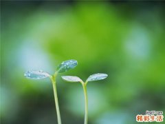 药疹猛于虎 当心虎咬人
