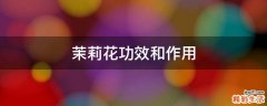 茉莉花功效和作用