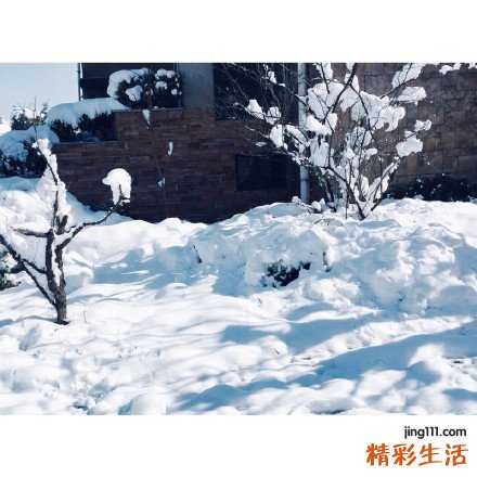 牙科消费知多少