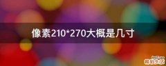 像素210*270大概是几寸