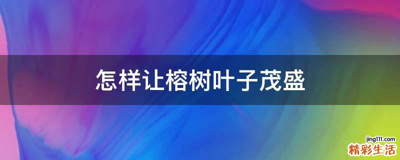 怎样让榕树叶子茂盛